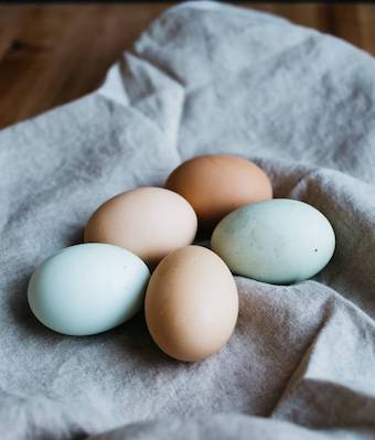 eggs farm direct minnesota