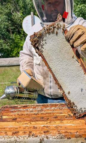 Minnesota honey, maple syrup, and local sweeteners from farms and beekeepers
