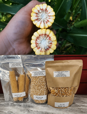 Local-grown popcorn and corn from local farm producers