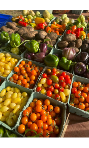 Minnesota CSA shares and farm produce boxes from local farms