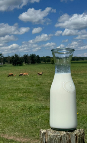 Minnesota raw cow milk from local dairy farms