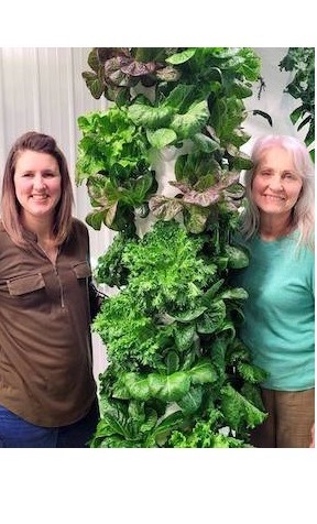 Minnesota farmers with fresh greens for a CSA share