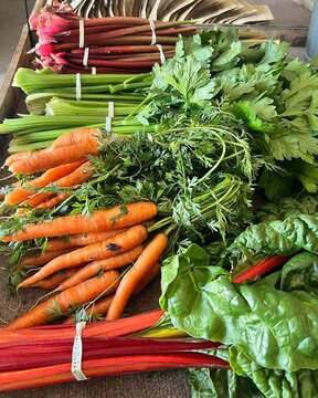 Minnesota fruits and vegetables direct from local farms