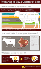 Quarter beef share guide